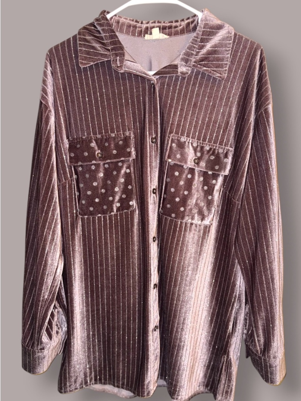 🌺Main Strip Velvet Brown/Silver Dots/Stripes Button Down Shirt